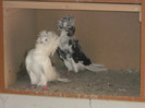 Picture 5381
