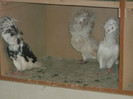 Picture 5389