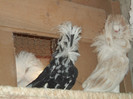 Picture 5392