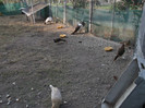 Picture 5419