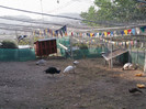 Picture 5420
