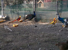 Picture 5432