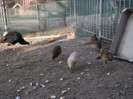 Picture 5437