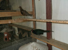 Picture 5441