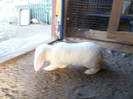 Picture 5456