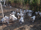 Picture 5619