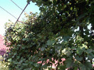 Picture 5645