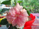DSCN3456