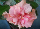 DSCN3458