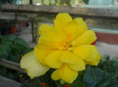 DSCN3465