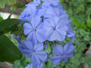 DSCN3468