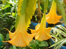DSCN3469
