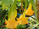DSCN3470