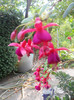 DSCN3474