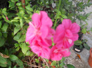 DSCN3477
