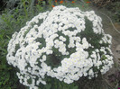DSCN3479