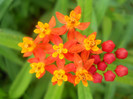 DSCN3481