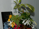 DSCN8366