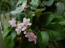 DSCN8367