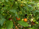 DSCN8375