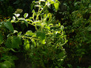 DSCN8376