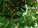 DSCN8409
