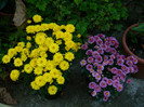 DSCN8419