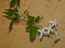 DSCN8422