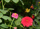 DSCN8428