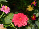 DSCN8429