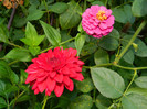 DSCN8431