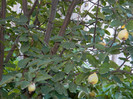 DSCN8434
