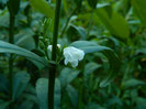 DSCN8436