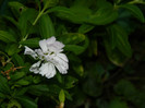 DSCN8438