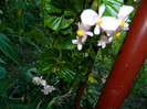 DSCN8453