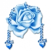 trandafir-albastru_67e216c458dd7b