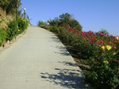 Sveti Vlas