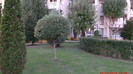 APDC0546