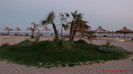 APDC0563