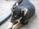 DSCN4605