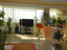 DSCN1390