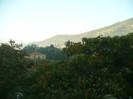 P1070642