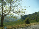 P1070659