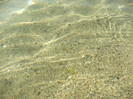 P1070809