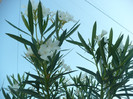 P1070814