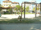 P1070842