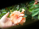 P1070849