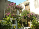 P1070850