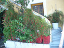 P1070854