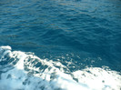 P1070865